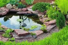 POND