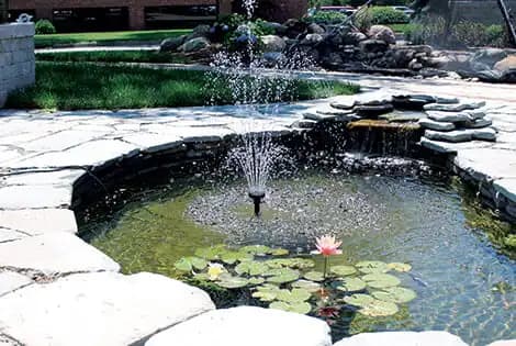 Pond Filtration