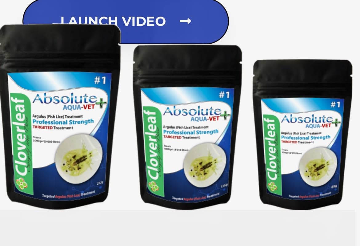 ABSOLUTE AQUA-VET+ #1 ARGULUS MEDICATION