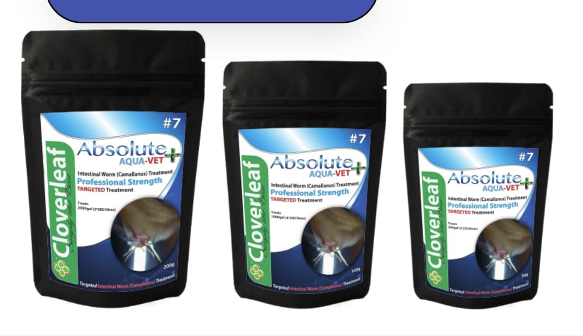 ABSOLUTE AQUA-VET+ #7 CAMALLANUS