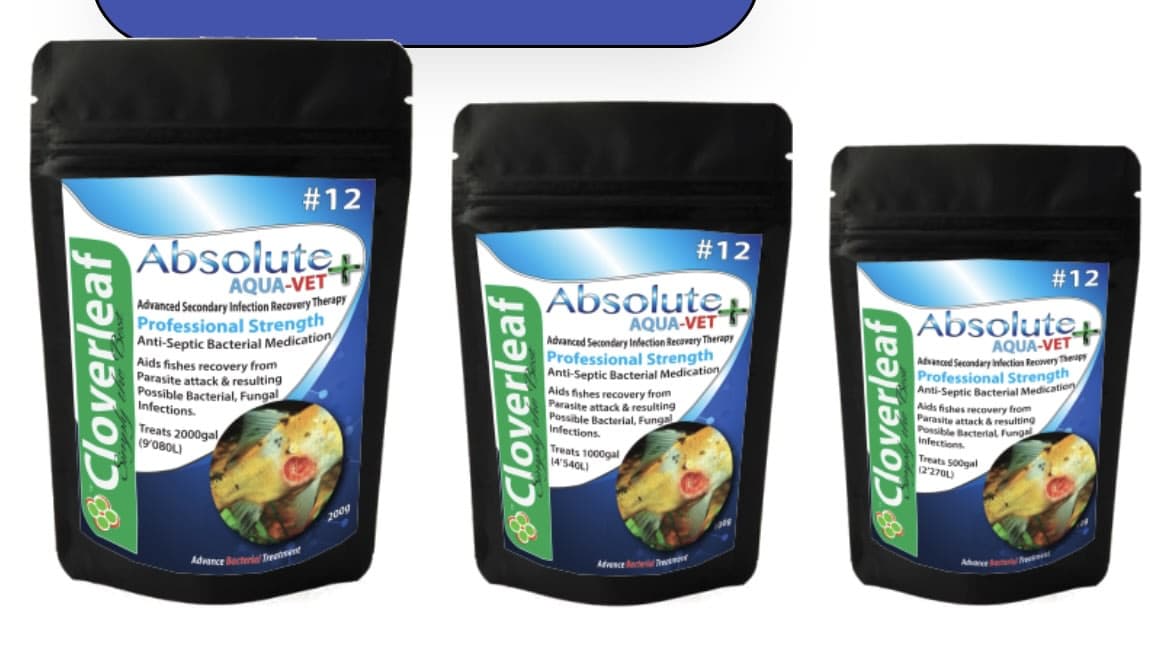 ABSOLUTE AQUA-VET+ #12 ADVANCED