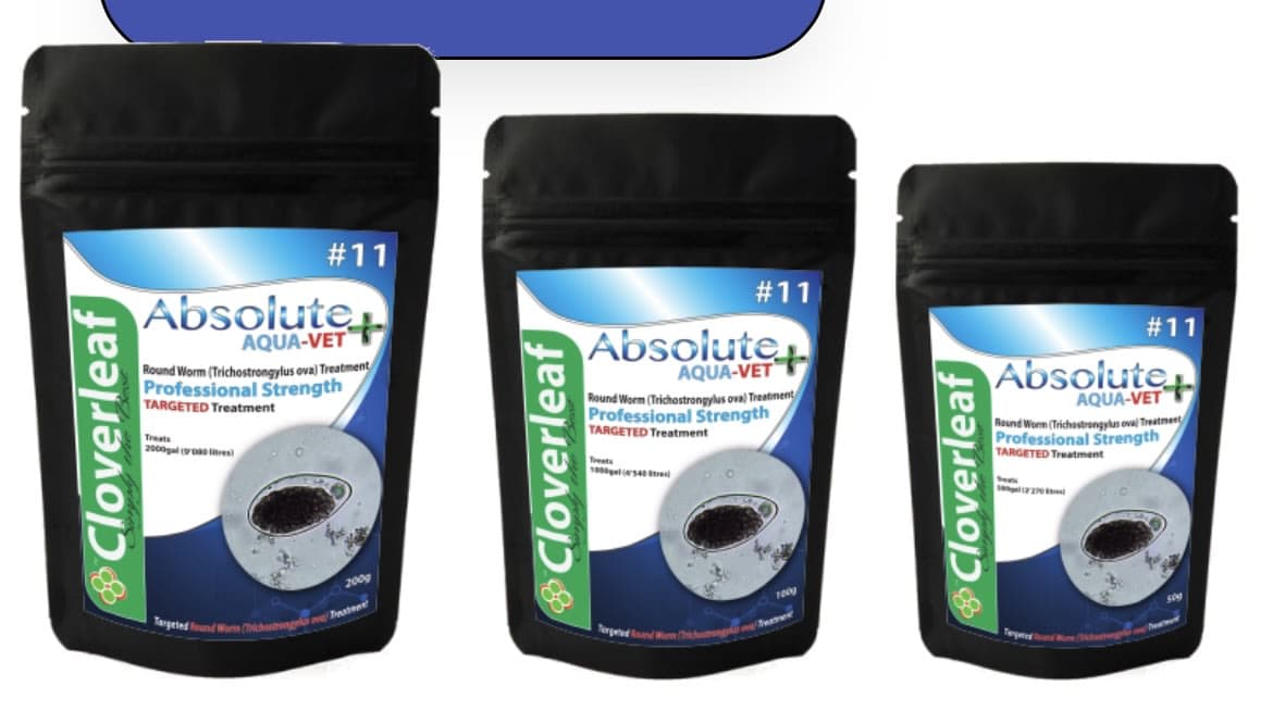 ABSOLUTE AQUA-VET+ #11 ROUNDWORM