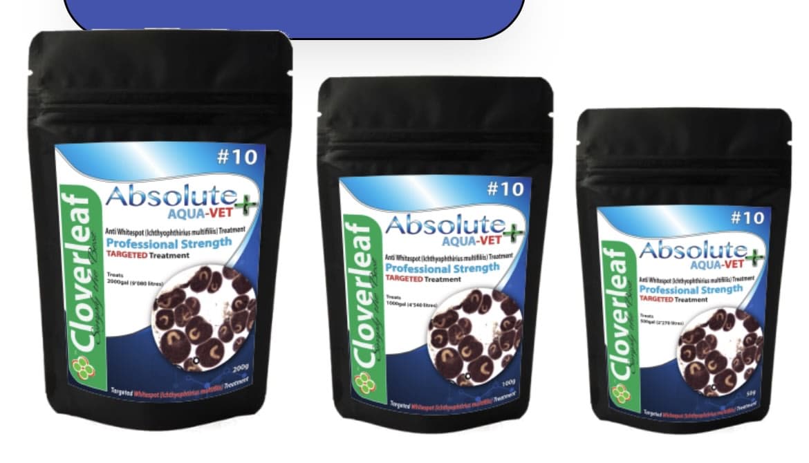 ABSOLUTE AQUA-VET+ #10 WHITESPOT