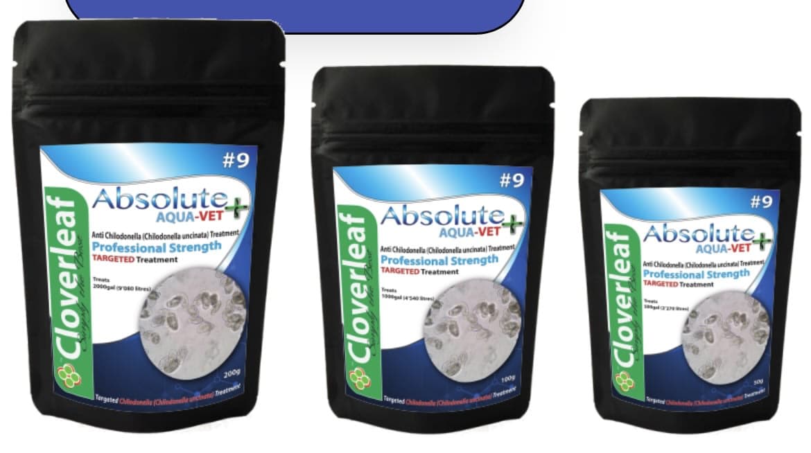 ABSOLUTE AQUA-VET+ #9 CHILODONELLA