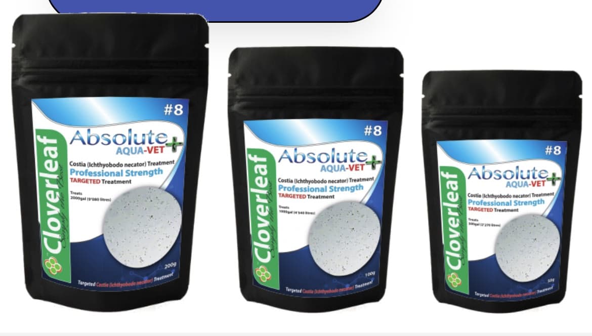 ABSOLUTE AQUA-VET+ #8 COSTIA
