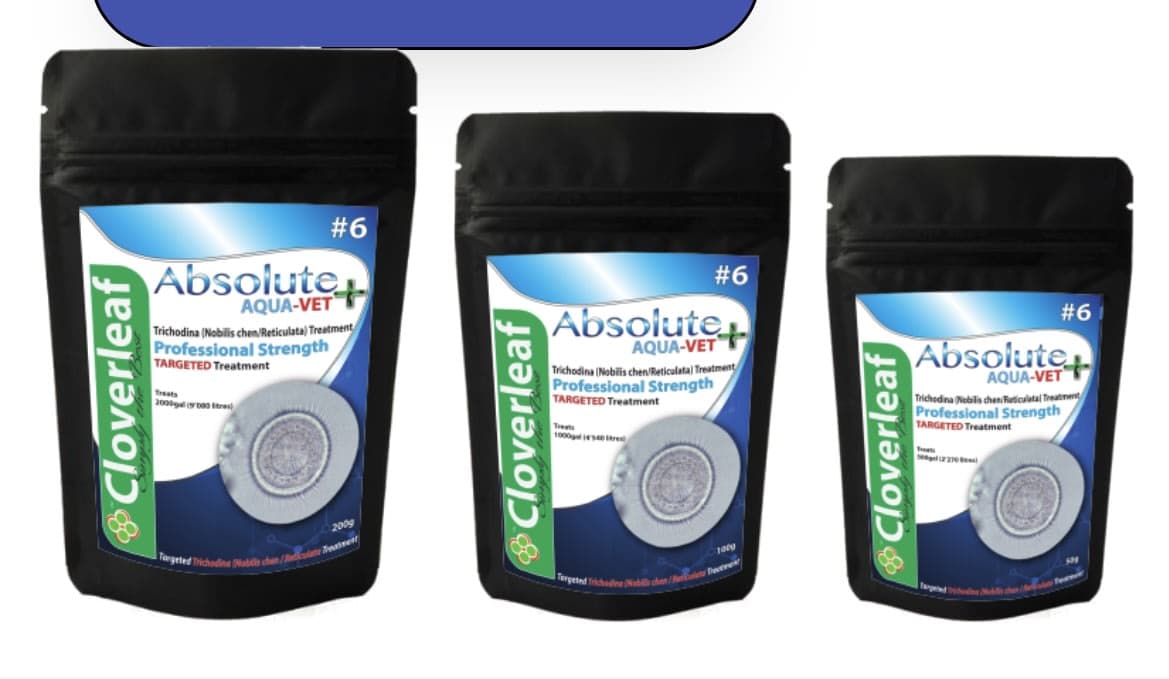 ABSOLUTE AQUA-VET+ #6 TRICHODINA