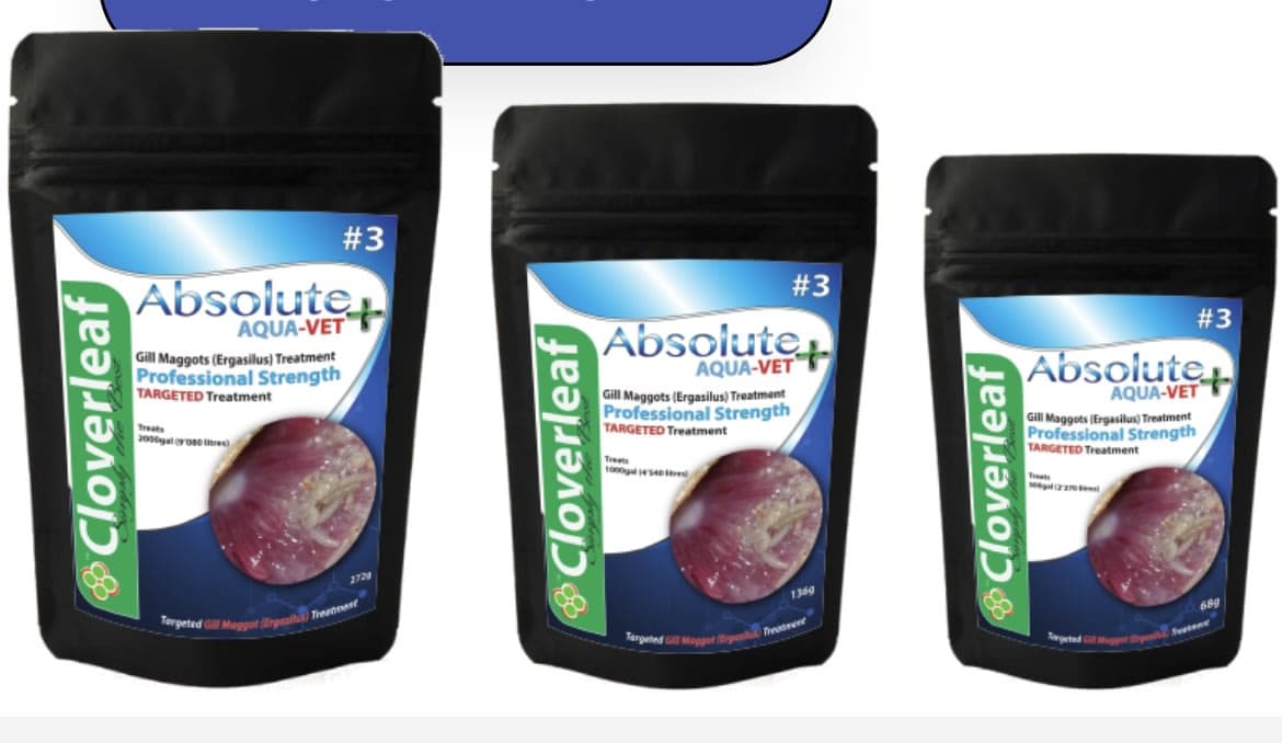 ABSOLUTE AQUA-VET+ #3 GILL MAGGOT